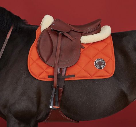 Equestrian Outfit, Equestrian Aesthetic, Equestrian Problems, Jumping Saddle, Equestrian Chic, Natural Horsemanship, Horse Fashion, Horse Training Tips, Barrel Horse