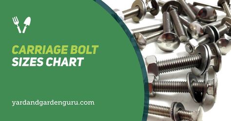 If you need to know the sizes of carriage bolts for your task, you can use our carriage bolt sizes chart to get the right ones Best Of Bridge Nuts And Bolts, Types Of Horse Bits, Braces Bands, Lag Bolts, Outdoor Wood Furniture, Hanger Bolts, Carriage Bolt, Low Carbon, Chain Link Fence