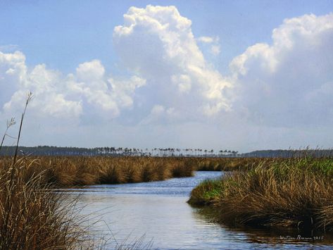 Marsh Land, Thunderstorm Clouds, Polynesian Islands, Alaska Usa, Arizona Usa, Arctic Circle, Paradise On Earth, Bern, Painting Photos