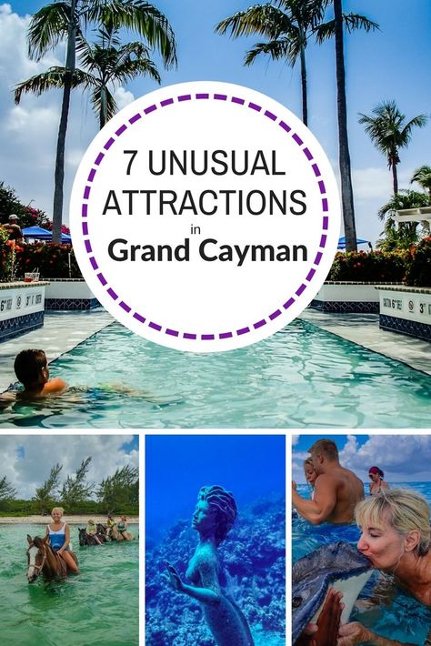 Things To Do In Grand Cayman, Things To Do In Cayman Islands, Cayman Islands Things To Do, Georgetown Cayman Islands, Grand Cayman Restaurants, Grand Cayman Island Things To Do, Georgetown Grand Cayman, Caymen Islands, Grand Caymans