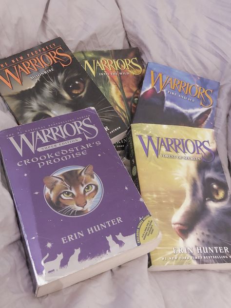 Warrior Cats Books Aesthetic, Warrior Cat Books, Warrior Cats Aesthetic, Sydney Sargent, Radical Face, Ice Warriors, Girly Bracelets, Multiple Intelligences, Warrior Cats Books