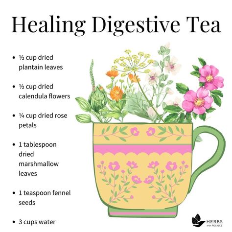 Rose Herb, Digestive Tea, Tea For Digestion, Plantain Leaves, Rid Of Blackheads, Medicinal Garden, Holistic Approach To Health, Garden Kit, Healthy Teas