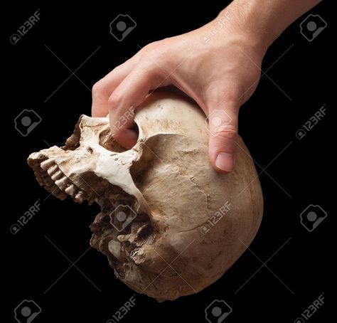 Holding Skull Reference, Hand Holding Skull, Holding Skull, Skull Reference, Hand Holding, Process Art, Black Backgrounds, Holding Hands, Sketch Book