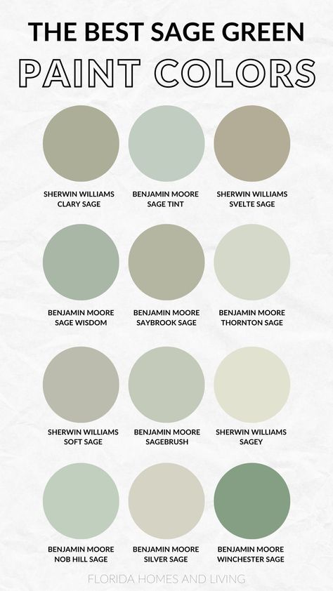 Sage Green Statement Wall, Off White Green Paint, Sage Green Interior Walls, Sage Green Paint Colors Nursery, Sage Green Basement Walls, Sage Green Walk In Closet, Cool Sage Green Paint, French Country Green Paint, Green Room Paint Ideas