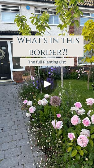 344K views · 11K reactions | Watch until the end for the trees featured here ☺️. My front garden border, measuring just 60cm in depth but I’ve packed in some goodies which give such a long period of seasonal interest! These are all things you can plant now, so save this video and look out for them at your next garden centre trip!

What do you think?! Is sharing planting lists like this helpful? Let me know 🥹🫶

The only plants not featured in the video are phlomis, phlox and echinacea (because the video was too long 🙃)

#gardening #gardendesign #gardeninglife #gardeningideas #gardeninguk #frontgarden #newgarden #smallgarden #gardeningforbeginners #beginnergardening | Rebecca Firman Garden Design 🌿 | Ophelia Wilde · the cottage Narrow Border Gardens Along Fence, Front Border Plants, Echinacea Landscaping, Salvia Garden Design, Garden Border Design Ideas, Front Gardens Uk, Front Garden Planting Ideas, Front Garden Border, Small Front Garden Design