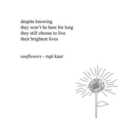 Rupi Kaur Quotes, Quotes Poem, Insta Quotes, Frida Art, Wallpapers Quotes, Rupi Kaur, Thanksgiving Quotes, Quotes Aesthetic, Trendy Quotes