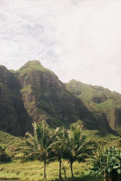 Hawaii Aesthetic Landscape, Hawaii Landscape Photography, Old Hawaii Aesthetic, Hawaii Aethstetic, Hawaii Film Aesthetic, Retro Hawaii Aesthetic, Hawaii Film Photography, Hawaii On Film, Hawaii Mood Board