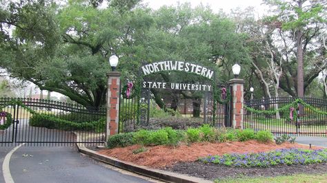 The main gates of Northwestern State University Natchitoches, Louisiana. Natchitoches Louisiana, Main Gates, Nurse Practitioner School, Louisiana Travel, Louisiana Homes, Steel Magnolias, Christmas Painting, Louisiana State, Nurse Practitioner