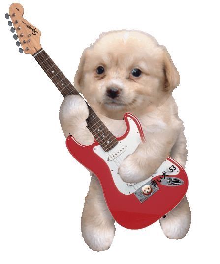 A Puppy, Guitar, Red