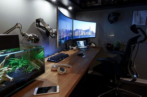 A non-gamer software engineer's battlestation Computer Code, Computer Desk Design, Diy Computer Desk, Game Setup, Gaming Desk Setup, Computer Desk Setup, Modern Computer Desk, Pc Gaming Setup, Pc Desk