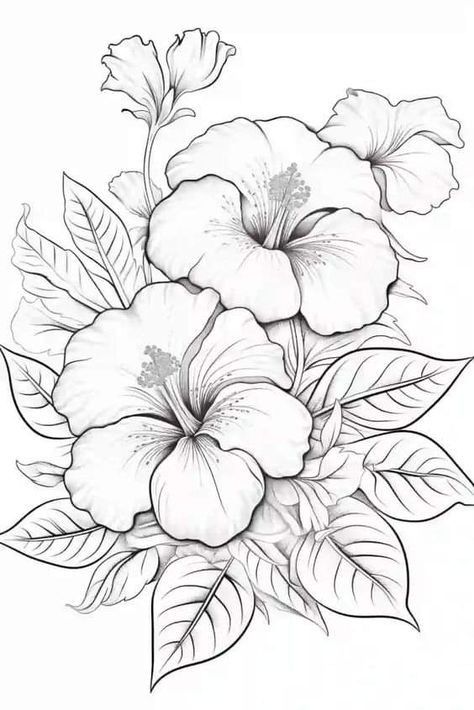 Hibiscus Drawing, Drawing Of Flowers, Printable Flower Coloring Pages, Easter Drawings, Flower Pattern Drawing, Flower Drawing Tutorials, Flower Drawing Design, Flower Art Drawing, Flower Sketches