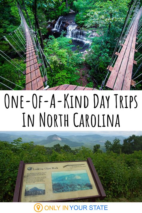 Only In North Carolina, Things To Do In Eastern North Carolina, North Carolina Adventures, Mills River North Carolina, Places To Go In North Carolina, North Carolina State Parks, Best Hikes In North Carolina, Andrews North Carolina, Summer In North Carolina