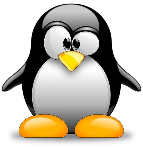 Penguin Pfp, Linux Penguin, Penguin Png, Free Vector Patterns, Penguin Clipart, Penguins Funny, Penguin Love, Cricut Png, Cool Anime Wallpapers