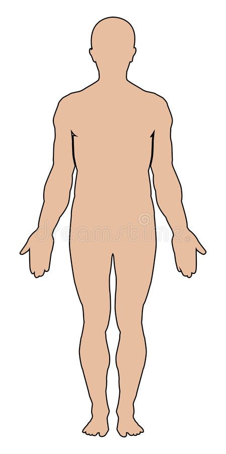 Human Body Outline, Human Body Silhouette, Human Outline, Outline Pictures, Body Human, Human Vector, Preschool Fine Motor Activities, Body Outline, Human Body Drawing