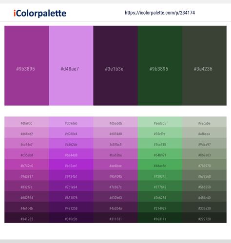 Summer Color Palettes, Teal Color Palette, Orange Palette, Hexadecimal Color, Flat Color Palette, Color Schemes Design, Purple Color Schemes, Light Steel Blue, Hex Color Palette