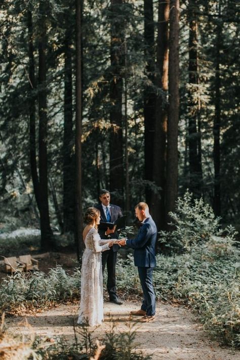 Big Sur Forested Beach Elopement Wedding Ceremony Elopement In The Woods, Tofino Elopement, Woods Wedding Ceremony, Eloping Wedding, Woods Wedding, Romantic Elopement, Small Intimate Wedding, Wedding Inspiration Board, Wood Wedding