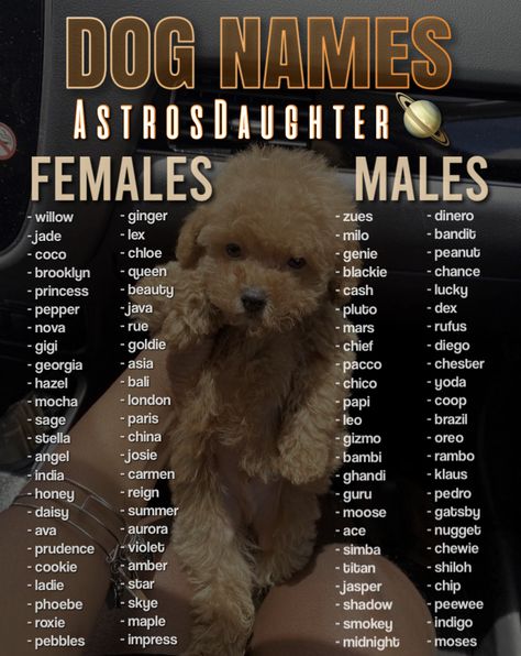 Puppy Names Boy, Astro Daughter, Cute Animal Names, Cute Puppy Names, Cute Pet Names, Dog Names Unique, Boy Dog Names, Cheap Puppies, Puppy Ideas