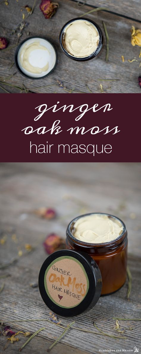 Ginger Oak Moss Hair Masque Clay Hair Mask, Moss Hair, Coconut Oil Hair Mask Diy, Damaged Hair Diy, Overnight Hair Mask, Coconut Oil Hair Mask, Hair Mask For Damaged Hair, Hair Balm, Hair Masque