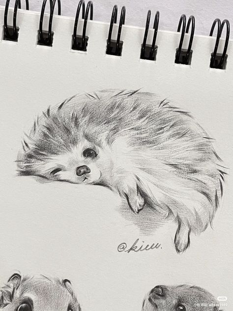 Pencil Sketch Of Animals, Headchog Drawing, Cool Animal Sketches, Sketches Pencil Animals, Cute Fox Sketch, How To Sketch A Horse, Animal Sketches Realistic Pencil Art, Panda Sketch Pencil Art, Sketchbook Ideas Animals