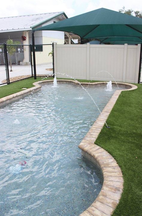 Dog Bone Pool, Outdoor Dog Area, Spoiled Puppy, Dog Space, Dog Boarding Facility, Dog Swimming Pools, Boarding Facility, Pet Shelter, Puppy Room