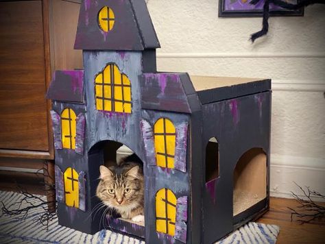 Diy Cat Cardboard, Halloween Crafts Adults, Diy Pet House, Dorm Cat, Cat House Diy Cardboard, Diy Pet Costumes, Cardboard Cat House, Cardboard Cat, Cardboard Shipping Boxes