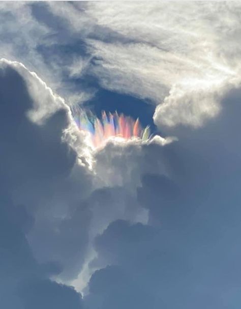 Cloud Iridescence, Angel Clouds, Arte Indie, Cool Pics, Wild Weather, Clouds Photography, Image Nature, Angel Pictures, In The Clouds