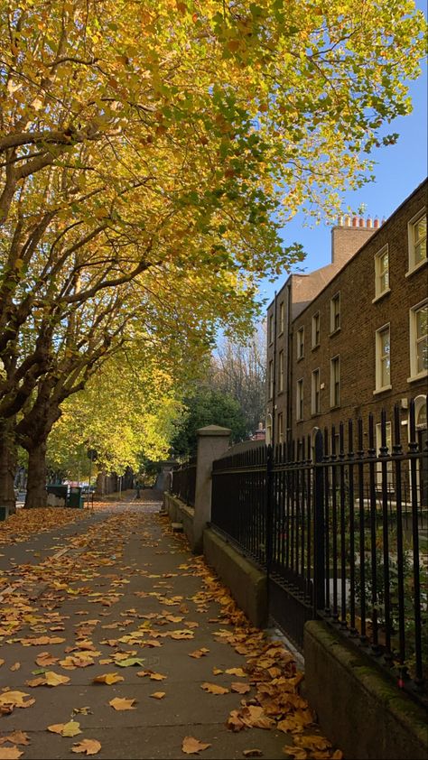 Fall In Dublin, Dublin In Fall, Dublin In Autumn, Stroll Aesthetic, Dublin Autumn, Dublin Ireland Aesthetic, Dublin Aesthetic, Chelmsford England, Ireland Aesthetic