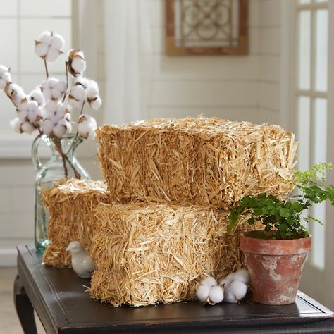 Decorative Straw Bale by Ashland® | Michaels Western Centerpieces, Plant Beds, Western Table, Potted Mums, Straw Bale, Straw Bales, Western Parties, Western Theme, Outdoor Home