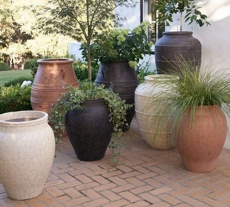 Outdoor Planters, Patio Planters & Plant Pots | Pottery Barn Patio Potted Plants, Planters Pottery, Gardens Design, Patio Planters, Backyard Remodel, Outdoor Pots, Pottery Planters, Garden Landscape, Large Planters