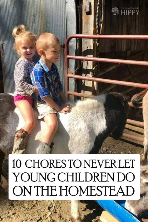 Kids should be taught self-reliance from a young age, but these 10 chores may be too much for the really young ones. #homesteading #kids Chores For Kids By Age, Farm Chores, Farm Kids, Homesteading Skills, Self Reliance, The Homestead, Chores For Kids, Childhood Toys