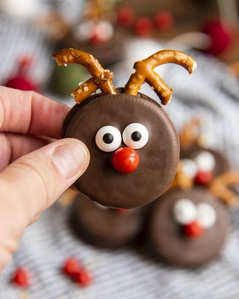 These Oreo Reindeer are so cute, covered in chocolate, with pretzel antlers, candy eyes, and a cute red candy nose. They're such an adorable and fun no bake holiday treat! Oreo Christmas Treats, Oreo Reindeer, Oreo Christmas, Christmas Oreos, Cute Christmas Desserts, Red Hots Candy, Christmas Baking Cookies, Candy Eyes, Reindeer Cookies