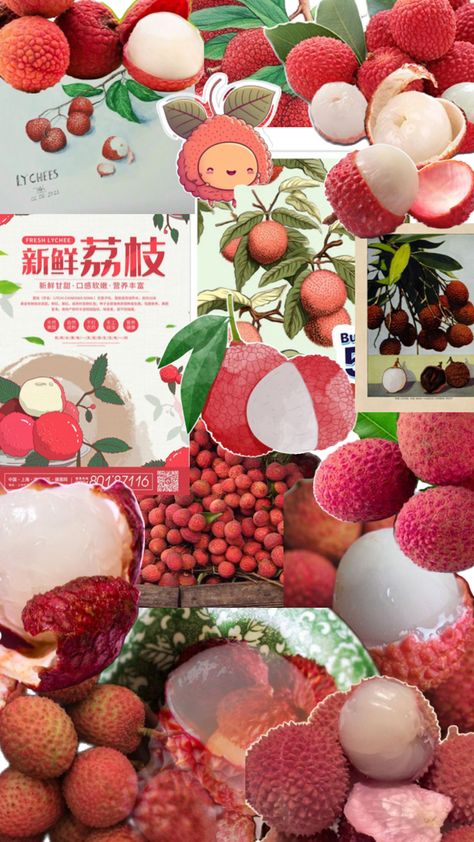 #collage #aesthetic #fruit #lychee #exoticfruit #exotic #yummy #yum #delish #AsianFruit Lychee Aesthetic, Fruit Collage, Aesthetic Fruit, Lychee Fruit, Strawberry Shortcake, Sketch Book, Fruit, Collage