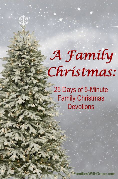 This family Christmas devotion book will become part of your family's tradition with 25 days of 5-minute devotions. #DevotionBook #FamilyDevotionBook #ChristmasDevotionBook #Giveaway via @FamiliesWithGrace Christmas Devotions, Family Christmas Quotes, Devotions For Kids, Christmas Help, Christmas Devotional, Advent Devotionals, Christmas Books For Kids, Christmas Reading, Family Devotions