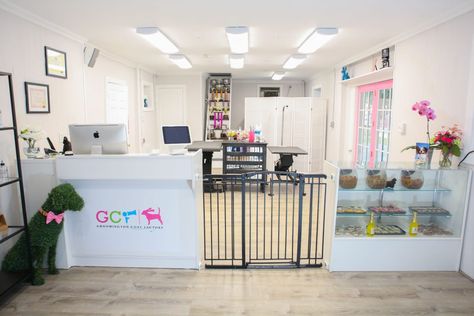 Salon Services - Groomington Coat Factory Dog Grooming Salon Entrance, Grooming Dogs Salon, Dog Groomer Salon Ideas, Pet Grooming Salon Ideas, Grooming Shop Ideas, Pet Grooming Salon Ideas Design, Grooming Salon Ideas Design, Dog Grooming Ideas, Grooming Salon Ideas