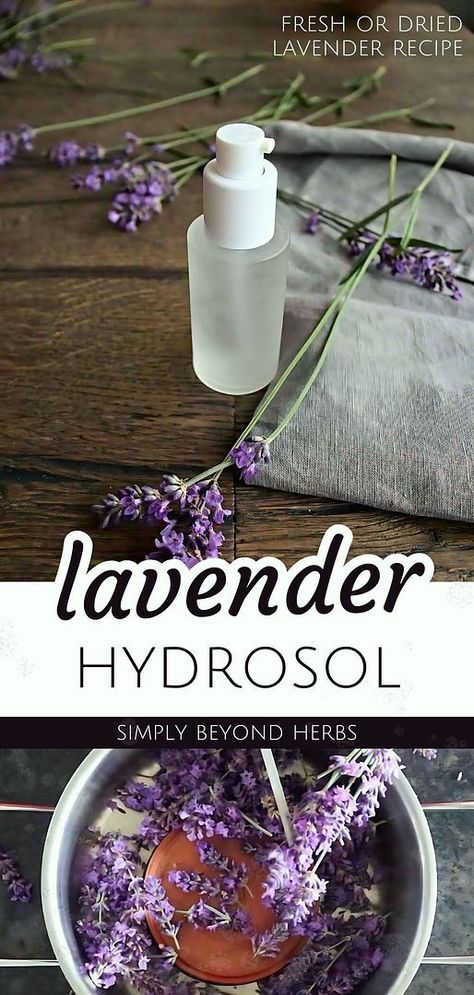 Homemade Lavender Perfume, Hydrosol Recipes, Lavender Hydrosol Uses, How To Make Lavender Essential Oil Diy, How To Make Lavender Oil From Plant, Lavender Dessert Recipes, Diy Soap Lavender, Herbalism Recipes, Homemade Oils