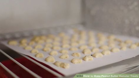 3 Ways to Make Peanut Butter Hamster Treats - wikiHow Chocolate Chip Macadamia Nut Cookies, White Chocolate Chip Macadamia Nut Cookies, Homemade White Chocolate, Peanut Butter Treats, Life Cereal, Making Peanut Butter, Hamster Food, Macadamia Nut Cookies, Nut Cookies