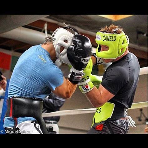 Boxing Photography, Winning Boxing, Sparring Gear, Boxing Images, Champions Of The World, Professional Boxer, Boxing Gym, Fitness Photoshoot, Push Yourself