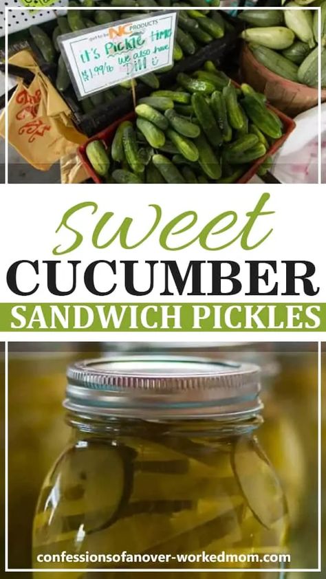 Sweet Pickles Homemade, Sandwich Pickles, Sweet Pickles Recipe, Homemade Pickles Dill, Hot Pickles, Cucumber Sandwich, Pickle Recipes, Pickled Cucumbers, Pickle Recipe