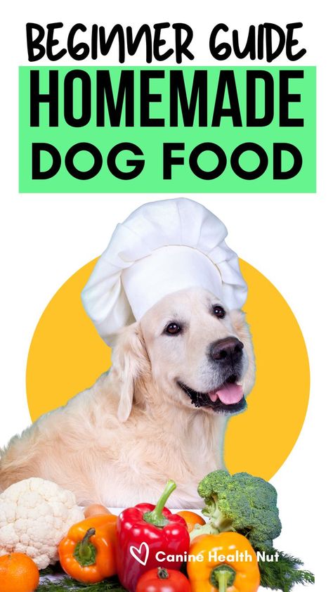 Beginner Guide to Homemade dog food. Dog in chef hat in front of vegetables. Homemade Dog Food Recipes For Large Dogs Crockpot, Dog Diet Food Recipes, Homemade Dog Food For Diabetics, How To Make Dog Food Recipes, Feeding Dogs Human Food, Benefits Of Homemade Dog Food, Holistic Dog Food Recipes, Dog Nutrition Guide, Home Cook Dog Food