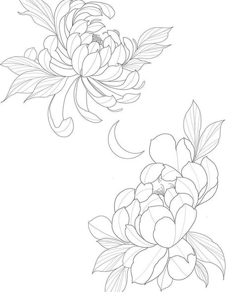 Instagram made me crop it a a bit, but I drew up these flowers today (peony and chrysanthemum) #yycartist #yycarts #draw #yyctattoo… Flower Drawing Japanese, Crisantemo Tattoo, Drawing Japanese, Japanese Flower Tattoo, Chrysanthemum Tattoo, Flower Line Drawings, Japanese Flower, Peonies Tattoo, Floral Tattoo Design