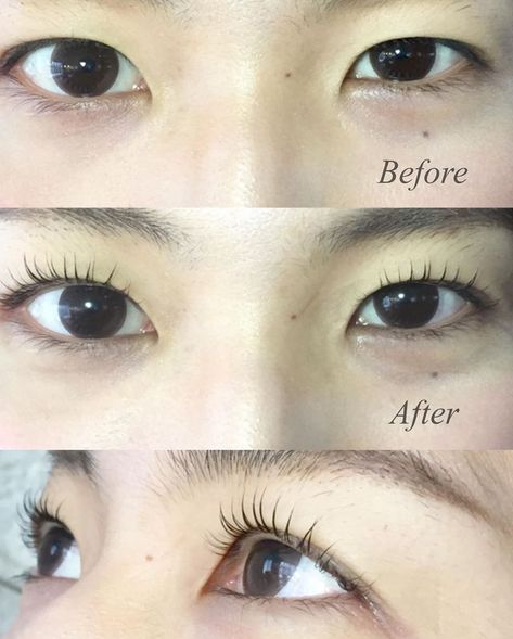 Perm Ideas, Lash Perm, Artificial Eyelashes, Eyelash Perm, Cat Eye Lash, Beautiful Eyelashes, Makeup Lessons, Curling Eyelashes, Permed Hairstyles