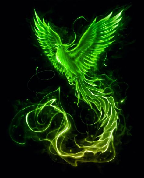 Green Phoenix Bird, Phoenix Animal, Phoenix Bird Art, Phoenix Drawing, Phoenix Tattoo Feminine, Phoenix Wallpaper, Phoenix Artwork, Phoenix Images, Phönix Tattoo