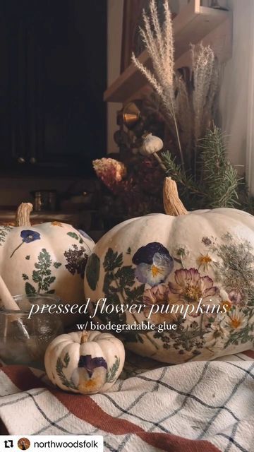 JG Co. on Instagram: "🌻🌸🌷 Love this pressed flower pumpkin DIY by @northwoodsfolk #Repost @northwoodsfolk with @use.repost ・・・ Did you know that Mod Podge is not biodegradable or eco-friendly? I didn’t until recently 🫣 It still has its applications, of course, but not on pumpkins (which would mean they’d need to be landfilled 😔.) I’d much rather use an adhesive that would allow them to either be washed off and eaten or tossed in the compost. Which is why I’m sharing this glue recipe for you Dry Flower Pumpkin, Autumn Leaves Decor, Pressed Flower Pumpkin, Cooking For 1, Pumpkin With Leaves, Glue Recipe, Pumpkins And Flowers, Pastry Brush, Pumpkin Flower