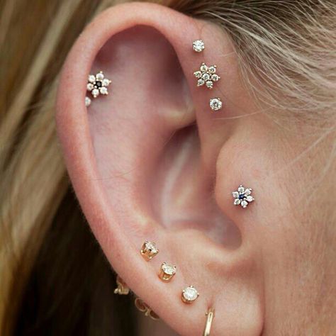 Ušný Piercing, Multiple Piercings Earrings, Piercing Septum, Multiple Earrings, Septum Piercings, Helix Piercings, Cute Ear Piercings, Cool Piercings, Dermal Piercing