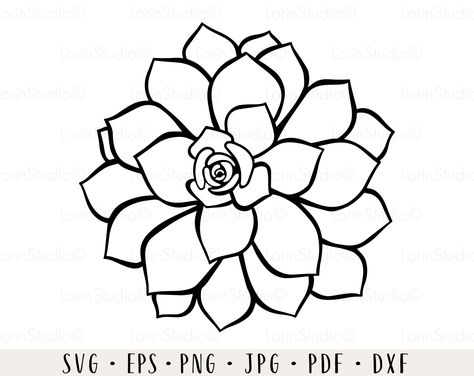 Succulent Svg, Cactus Svg, Sunflower Mandala, Sunflower Clipart, Floral Decal, Coffee Cup Design, Shirt Sublimation, Pantry Labels, Vinyl Ideas