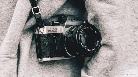 The Canon AE-1 Program will make great photos easily, for any level of photographer. But it may be the best choice, specifically, for new photographers. Canon Ae 1 Program, Lens Aperture, Canon Ae 1, 35mm Photography, Film Photography 35mm, Light Meter, Retro Camera, Old Camera, Camera Shop