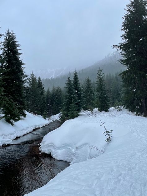 #goldcreekpond #washington #explore #snow #adventures #winter #winterwonderland Snow In Washington State, Winter River Aesthetic, Snowy Woods Aesthetic, Washington State Aesthetic Dark, Winter In Washington State, Snowy Pine Forest, Snowed In Aesthetic, Australia Winter Aesthetic, Winter Woods Aesthetic