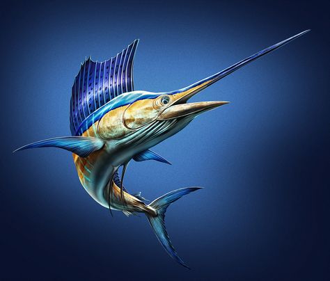 Saltwater Fish Studies on Behance Sailfish Art, Sail Fish, Marlin Fish, Bass Fishing Pictures, Blue Marlin Fish, Photoshop Shortcut, Shark Images, Animal Tarot, Chinese Folk Art