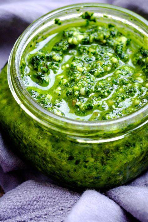 Lacinato Kale Pesto, Your New Favorite Green Sauce - Creative in My Kitchen Lacinato Kale Recipes, Kale Recipes Salad, Lacinato Kale Recipe, Kale Kale, Lectin Free Foods, Plant Paradox Diet, Lacinato Kale, Make Pesto, Lectin Free Diet