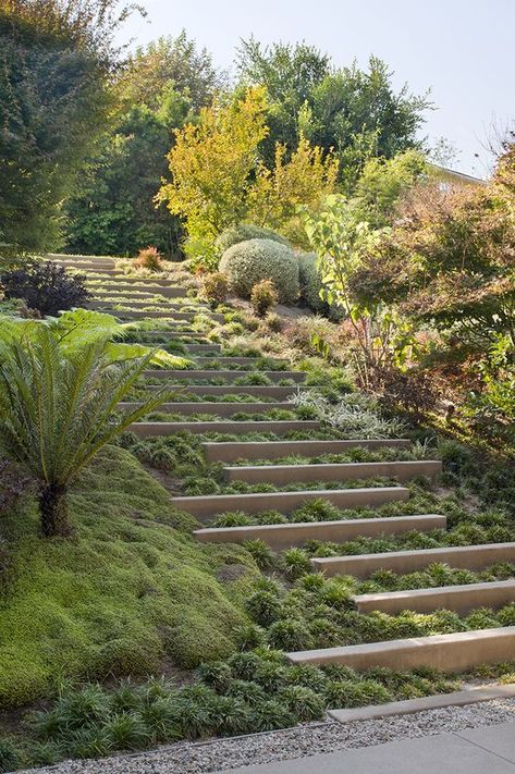 Landscaping a steep or sloped site - an introduction Sloped Backyard Landscaping, Terraced Landscaping, Landscaping A Slope, Landscape Stairs, Landscape Steps, Landscaping On A Hill, Landscape Gardening, Hillside Garden, Sloped Backyard